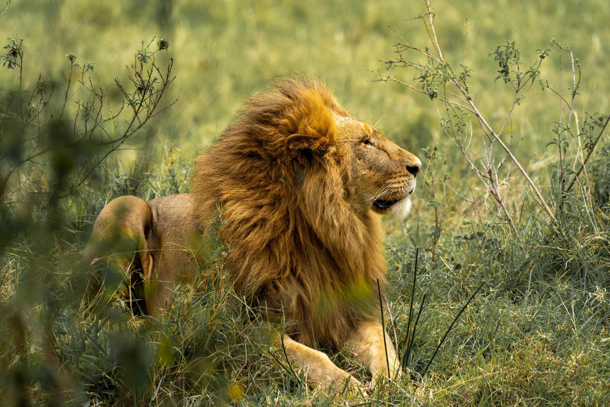 Scenic view in Meru National Park